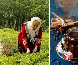 نوشیدن چای در ایران از 150 سال پیش مد شد! قبلش ایرانیان قهوه می‌نوشیدند