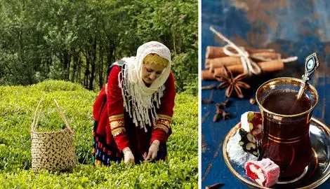 نوشیدن چای در ایران از 150 سال پیش مد شد! قبلش ایرانیان قهوه می‌نوشیدند