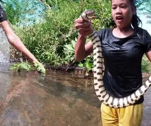 غذای زمخت؛ دختره یجوری مار رو انداخت گردنش که انگار شلنگه عین خیار پوستشو گرفتو خوردش
