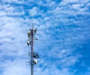 پارازیت‌ها باران را عقیم می‌کنند؟