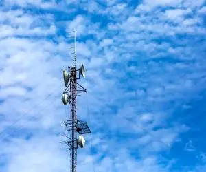 پارازیت‌ها باران را عقیم می‌کنند؟