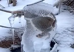 معماری طبیعت؛ سنجاب تو برف قندیل بسته با چکش یخشو میشکونن میزنه به چاک