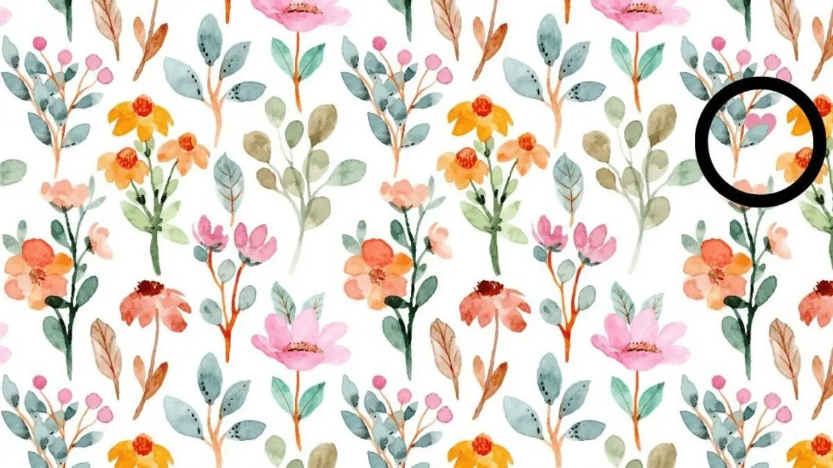 پاسخ-تست-بینایی-یافتن-قلب-میان-گلها