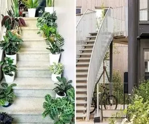 گیاهان مناسب راه پله سرد در داخل یا خارج ساختمان / با دوام حتی در برف که دما زیر صفره