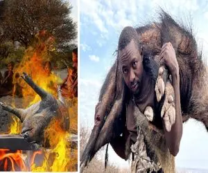 جنگجویان طبیعت؛ بربرهای آفریقا گرازوحشیو با نیزه شکار و زنده پرت کردن تو تنور 