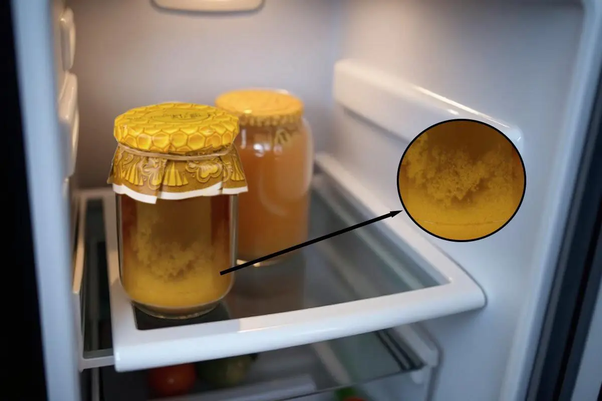 honey-crystallize-fridge-photo