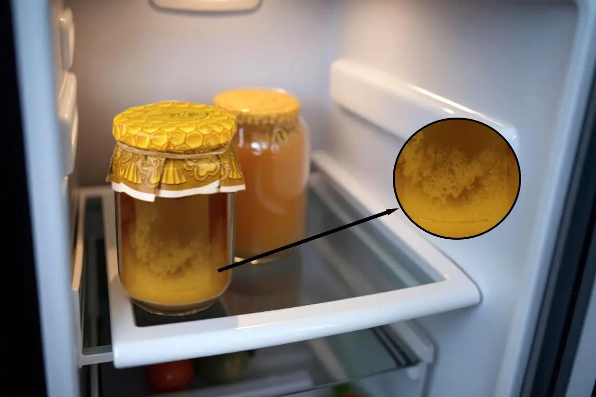 honey-crystallize-fridge-photo