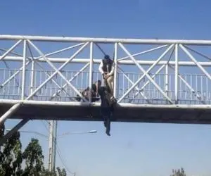 ماجرای پیکرهای آویزان از پل هوایی وکیل آباد مشهد چه بود؟