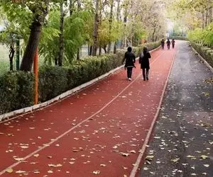 "مجموعه ورزشی انقلاب" واگذار می‌شود؟