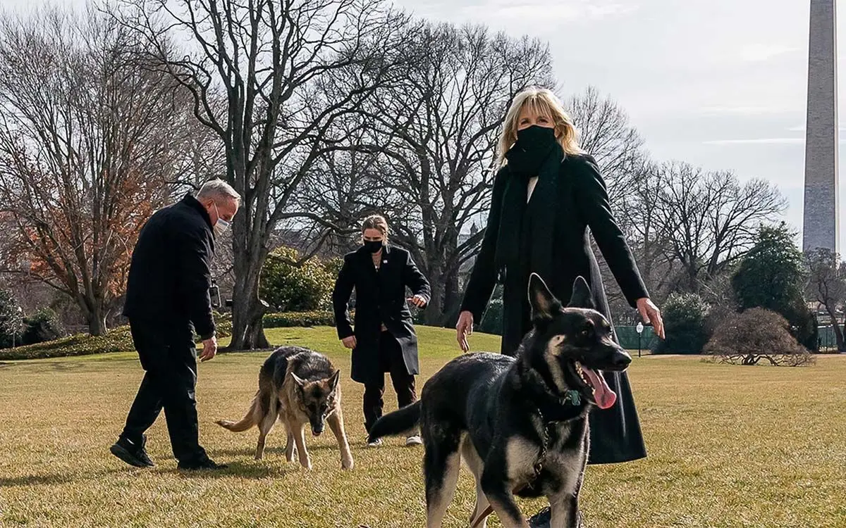https%3A%2F%2Fstatic.onecms.io%2Fwp-content%2Fuploads%2Fsites%2F20%2F2021%2F02%2F28%2Fjill-biden