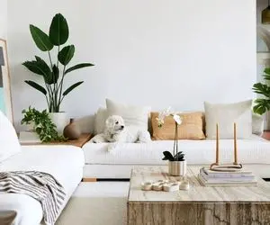 چیدانه خیلی قشنگ؛ این روزا دیگه مجسمه مد نیست همه خونشونو با گل طبیعی دکور میکنن