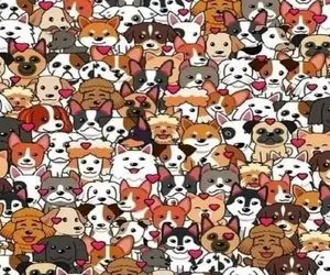 بازی فکری؛ اگه بتونی گربه رو بین انبوهی از سگ ها پیدا کنی تا عمر داری آلزایمر نمیگیری