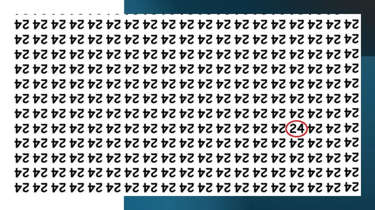 تست-قدرت-بینایی-با-عدد-24-2