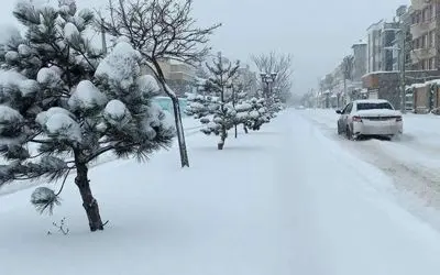 هواشناسی کشور امروز یکشنبه ۷ بهمن ماه/ برف و باران در ۱۴ استان