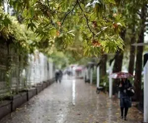 آمار نگران‌ کننده از وضعیت بارش‌ها در ایران