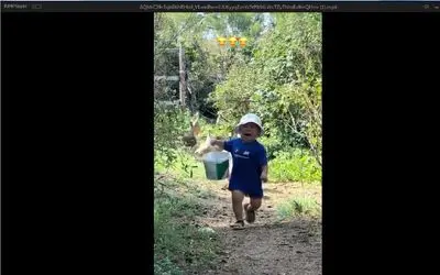 سکانس خندان/ فرار بامزه پسر بچه فیلیپینی از دست غاز ها/باگریه داره فقط فرار میکنه