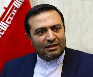 محسن علیزاده: نمی‌توانید بگویید مجلس حق دخالت ندارد.