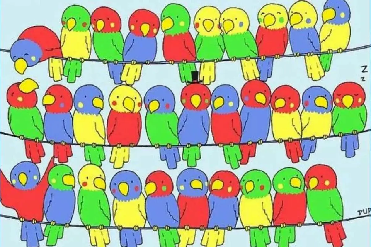 ظوطس