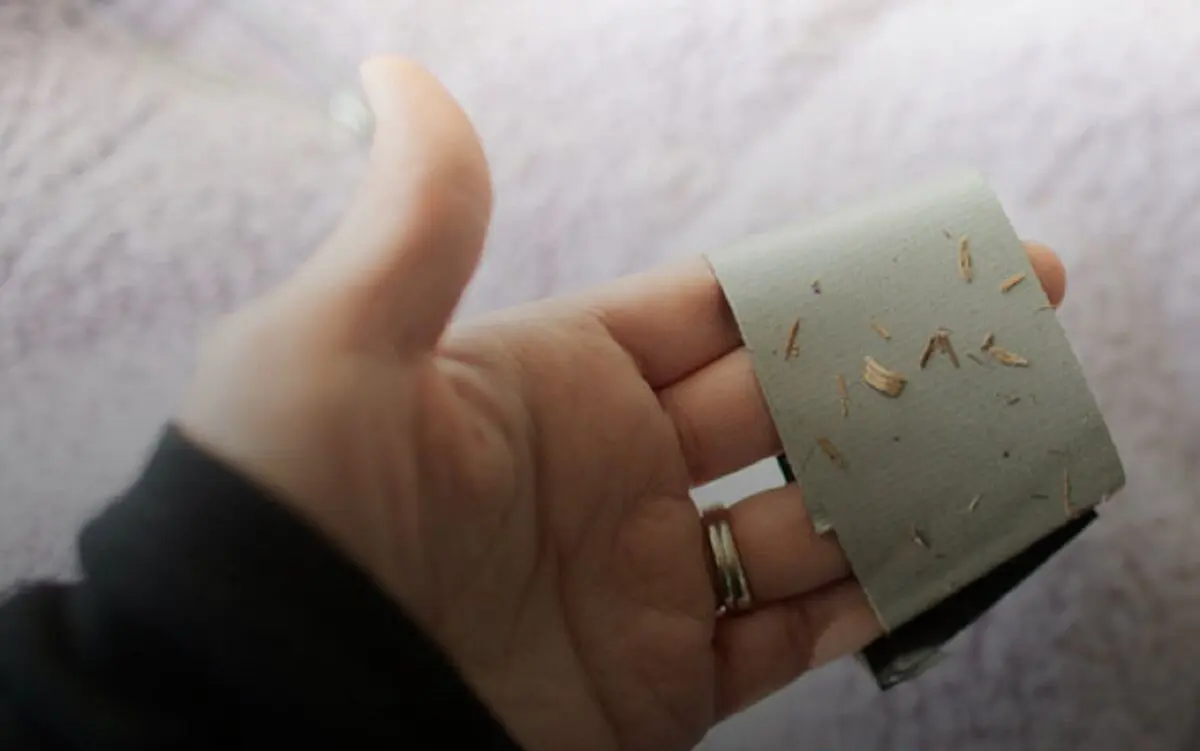 Eliminate-blanket-lint