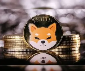 شیبااینو قدمی بزرگ برداشت؟