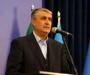 انتقاد تند رئیس سازمان انرژی اتمی از گزارش آژانس