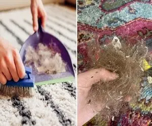 جمع کردن مو از روی فرش بدون دوشواری / با دوتا وسیله کاربردی برای همیشه خودتو راحت کن