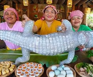 فرآوری کروکودیل؛ خانومای همسایه تو دورهمی شکم الیگیتور سفره کردن و توشو پر کردن پختن