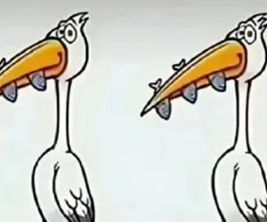 بازی فکری؛ اگه قدرت هوشت طوریه که همه رو زمین زده 3 تا اختلاف تو لکلک پیدا کن