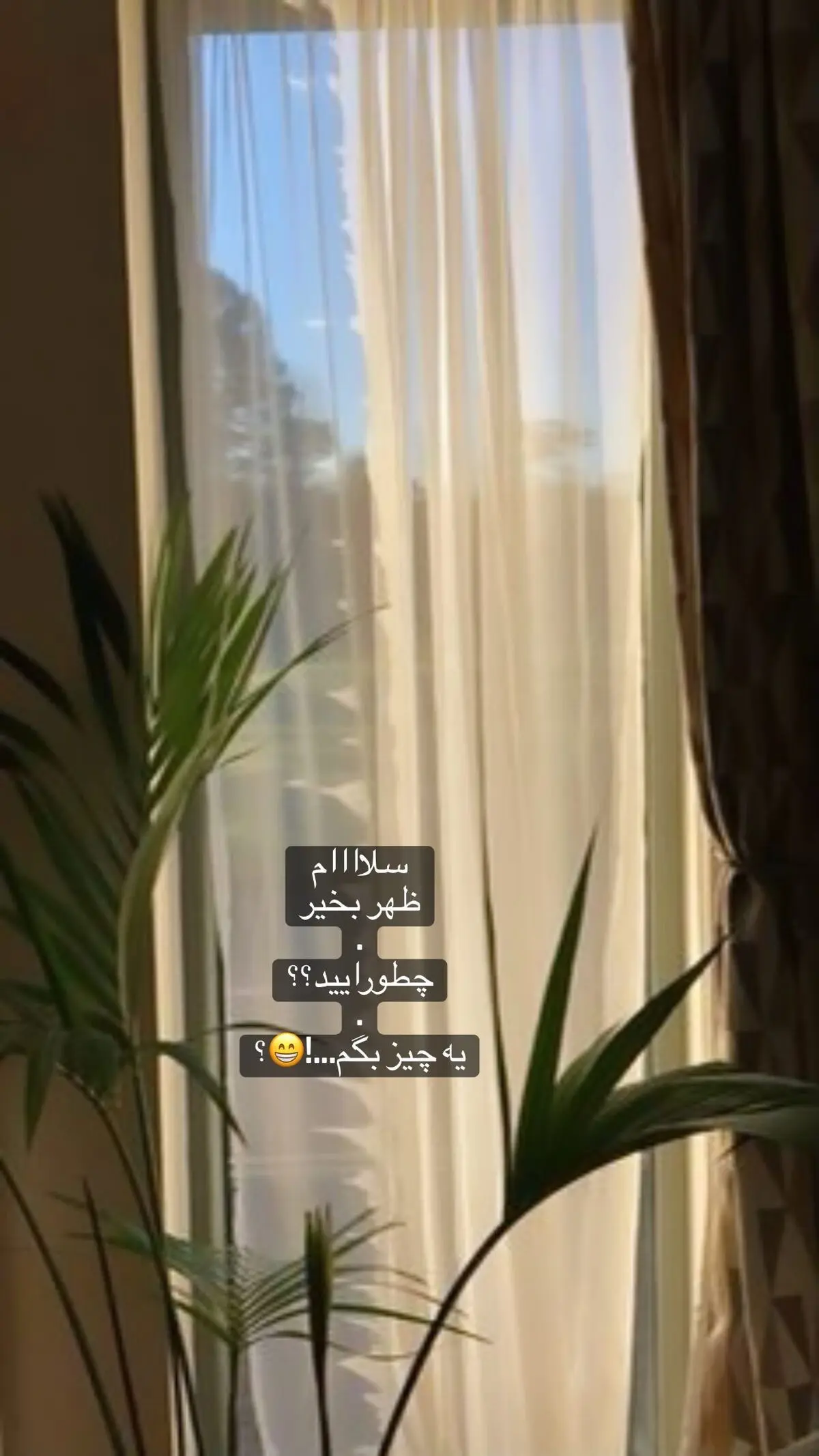 279140769_115773030954727_1025318513581326951_n