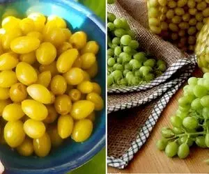 طرز تهیه ترشی غوره به روش اصیل / به همراه فوت و فن های جلوگیری از کپک زدن