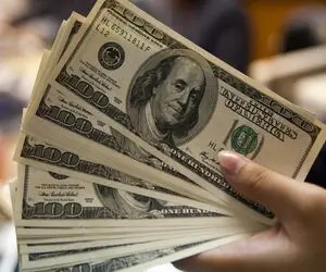 قیمت دلار امروز دوشنبه 19 مرداد 1405؛ حواله به قله تاریخی نزدیک شد