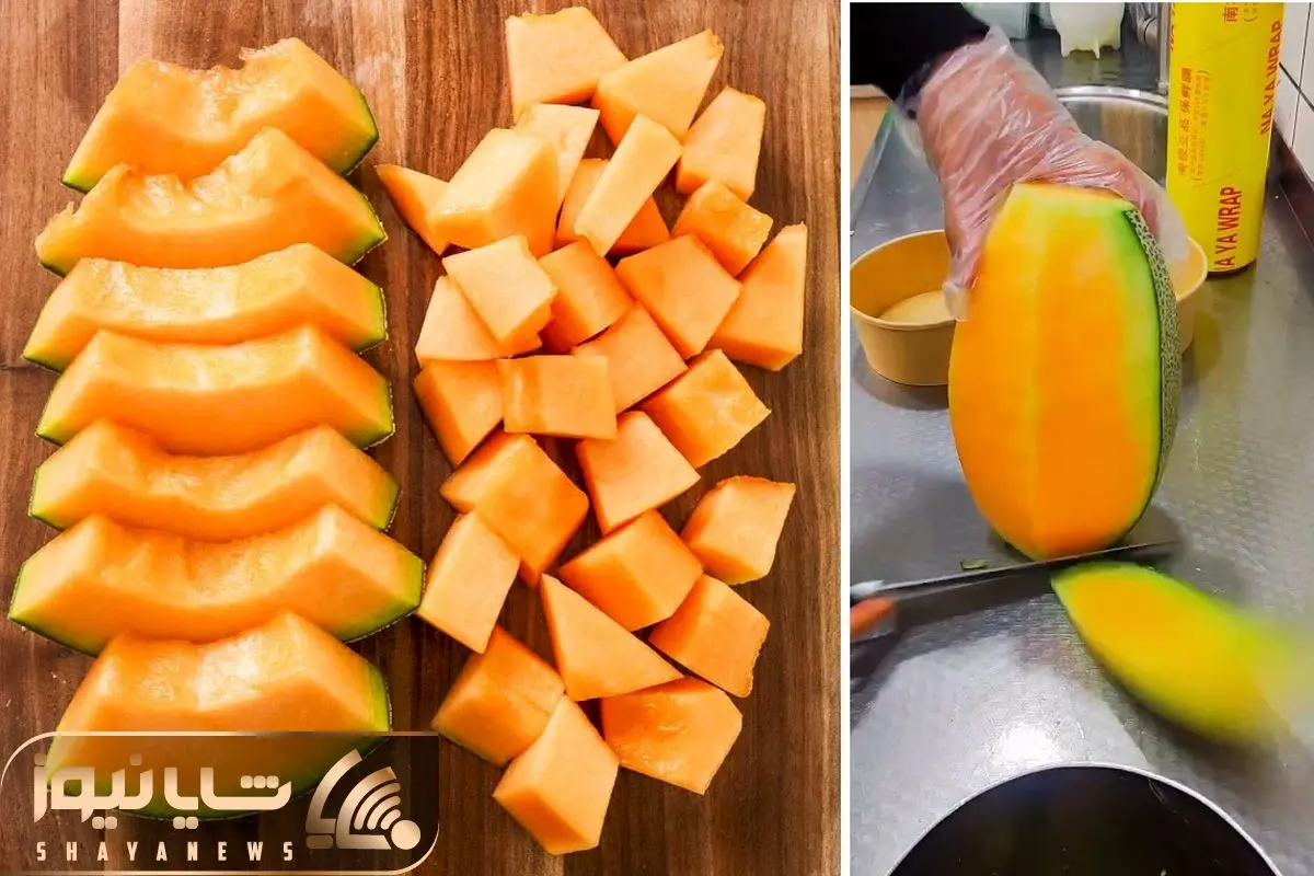 Melon CUTTING SKILLS shayanews