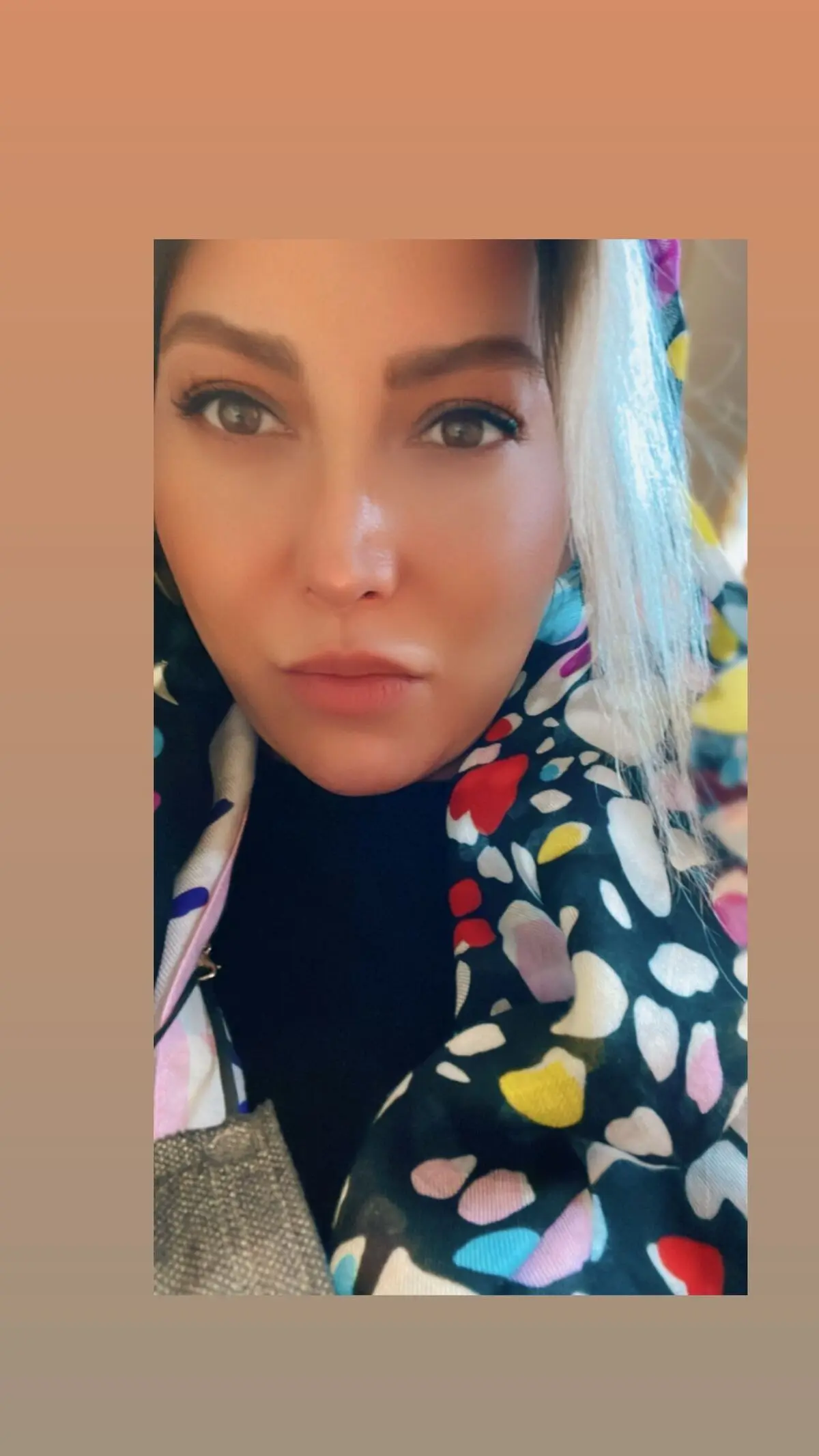 fariba_naderi___2767783559694165623_266452035