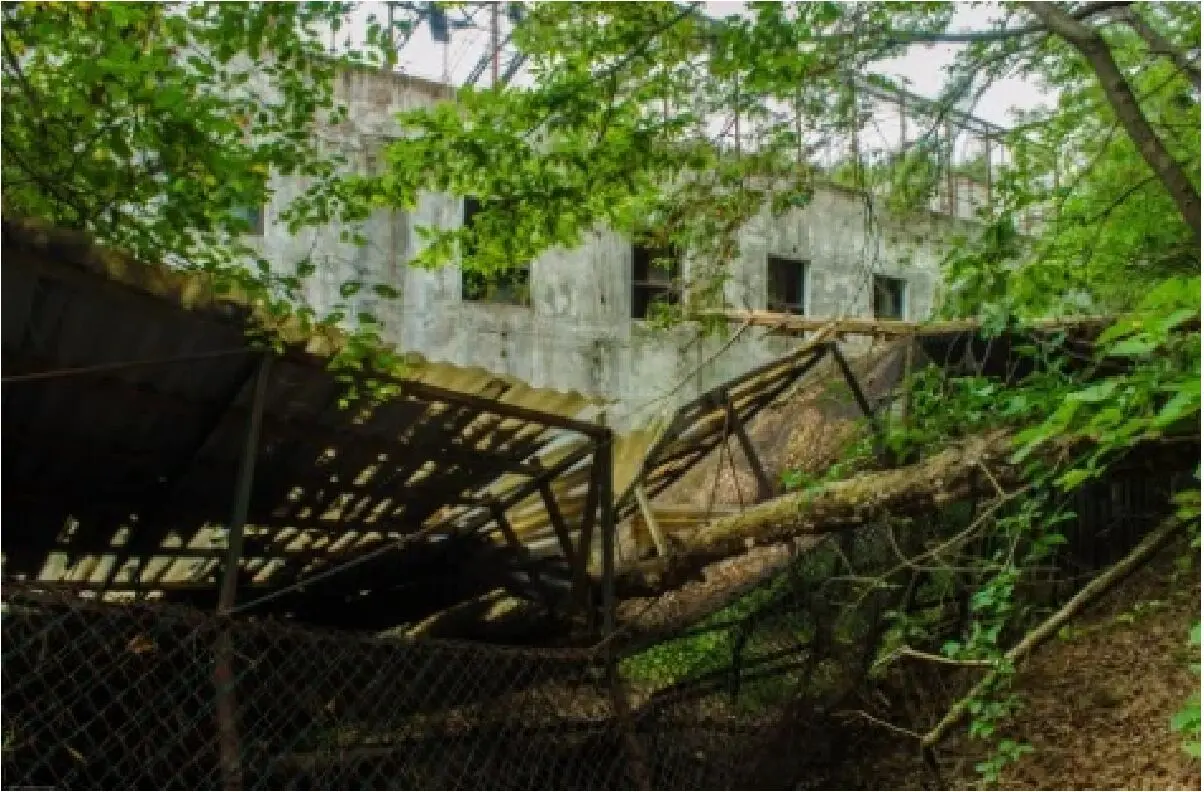 gonjiam-psychiatric-hospital / بیمارستان روانی گونجیام