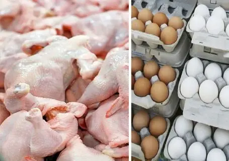 قیمت مرغ و قیمت تخم مرغ امروز یکشنبه ۵ مهر