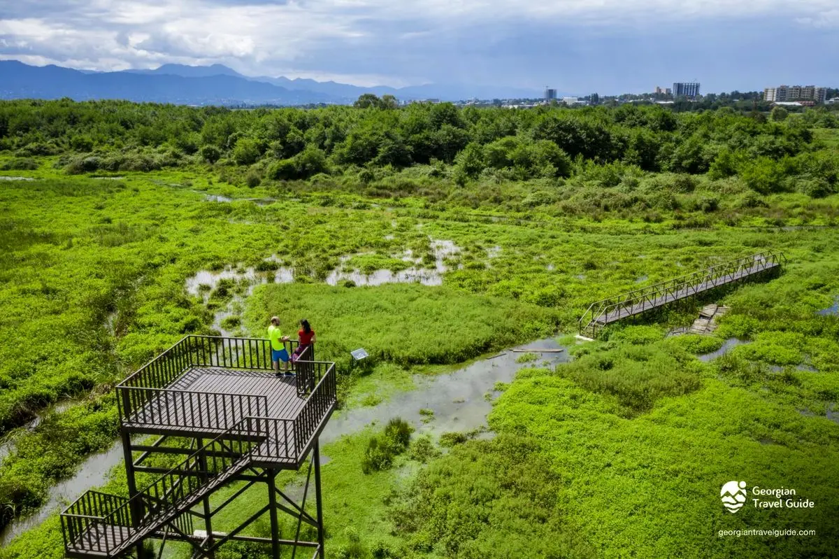 kobuleti-national-park-erovnuli-parki