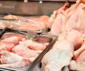 قیمت مرغ گرم امروز چهارشنبه 1 بهمن ماه 99