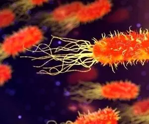 بیماری جدید ویروسی در کمین مردم؛ مراقب باشید!