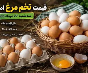 قیمت تخم مرغ امروز سه‌ شنبه 27 مرداد 1405 / تخم مرغ در یک سال چقدر گران شد؟