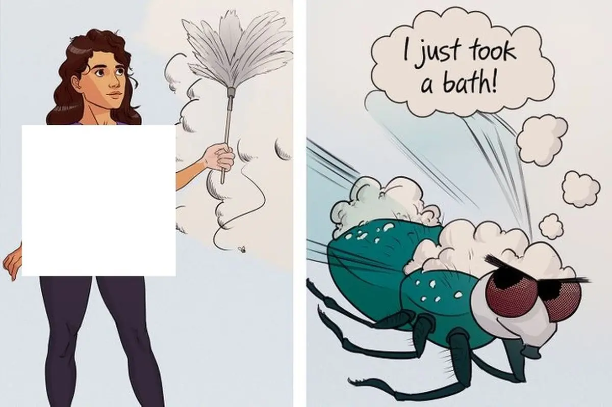 حقایقی از مگس ها