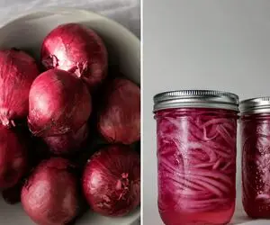 طرز تهیه ترشی پیاز قرمز؛ راز ترد شدنش