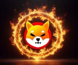 توکن سوزی شیبااینو به روشی جدید شروع شد!