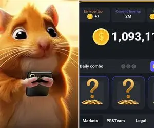 کارت های همستر امروز چهارشنبه کامبت ۳۱ مرداد + آموزش وارد کردن