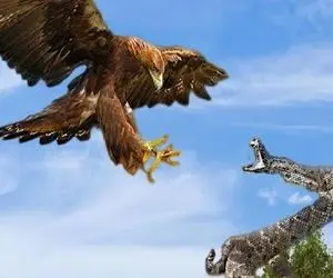 شاهکار حیات وحش / عقاب با یک شیرجه عطای مار را به لقایش بخشید