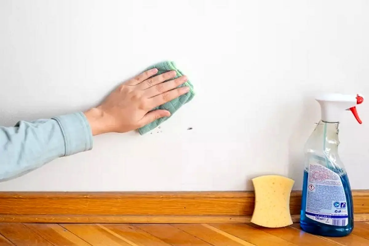 how-to-clean-white-walls-5409527-hero-c609bafefe814f4fa0bbd073b66becaa