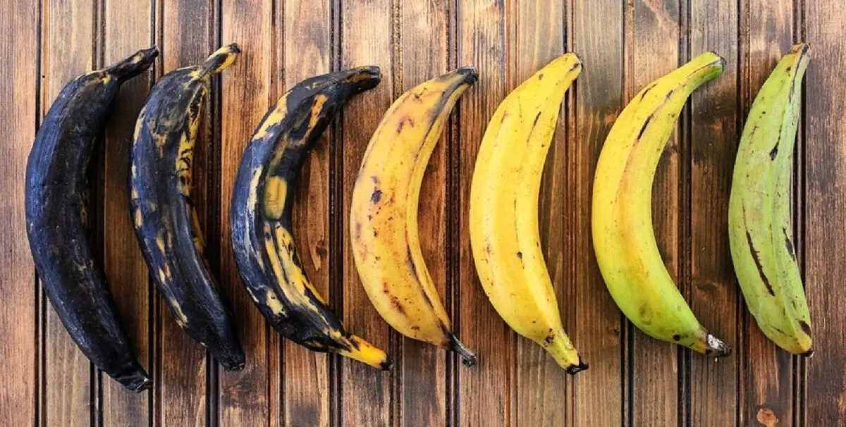 ترفندهای جلوگیری از سیاه شدن موز 
