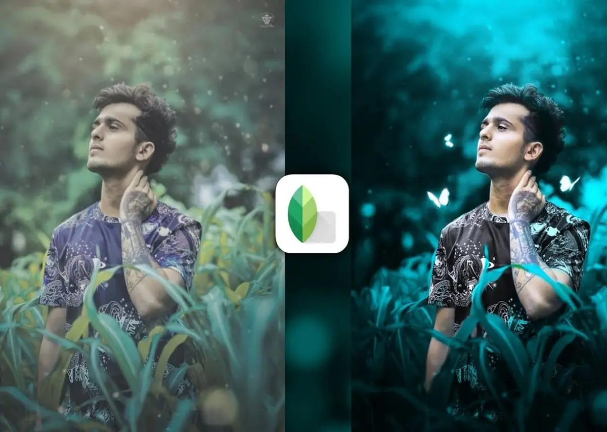 new-snapseed-photo-editing-trick
