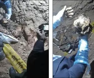 بقایای جسد پس از یکسال راز قتل هولناک را فاش کرد