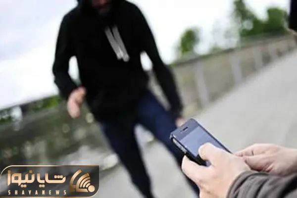 سرقت از چهره های معروف