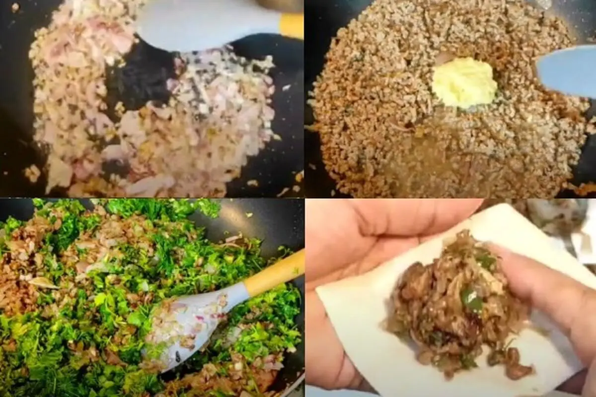 meal-samosa